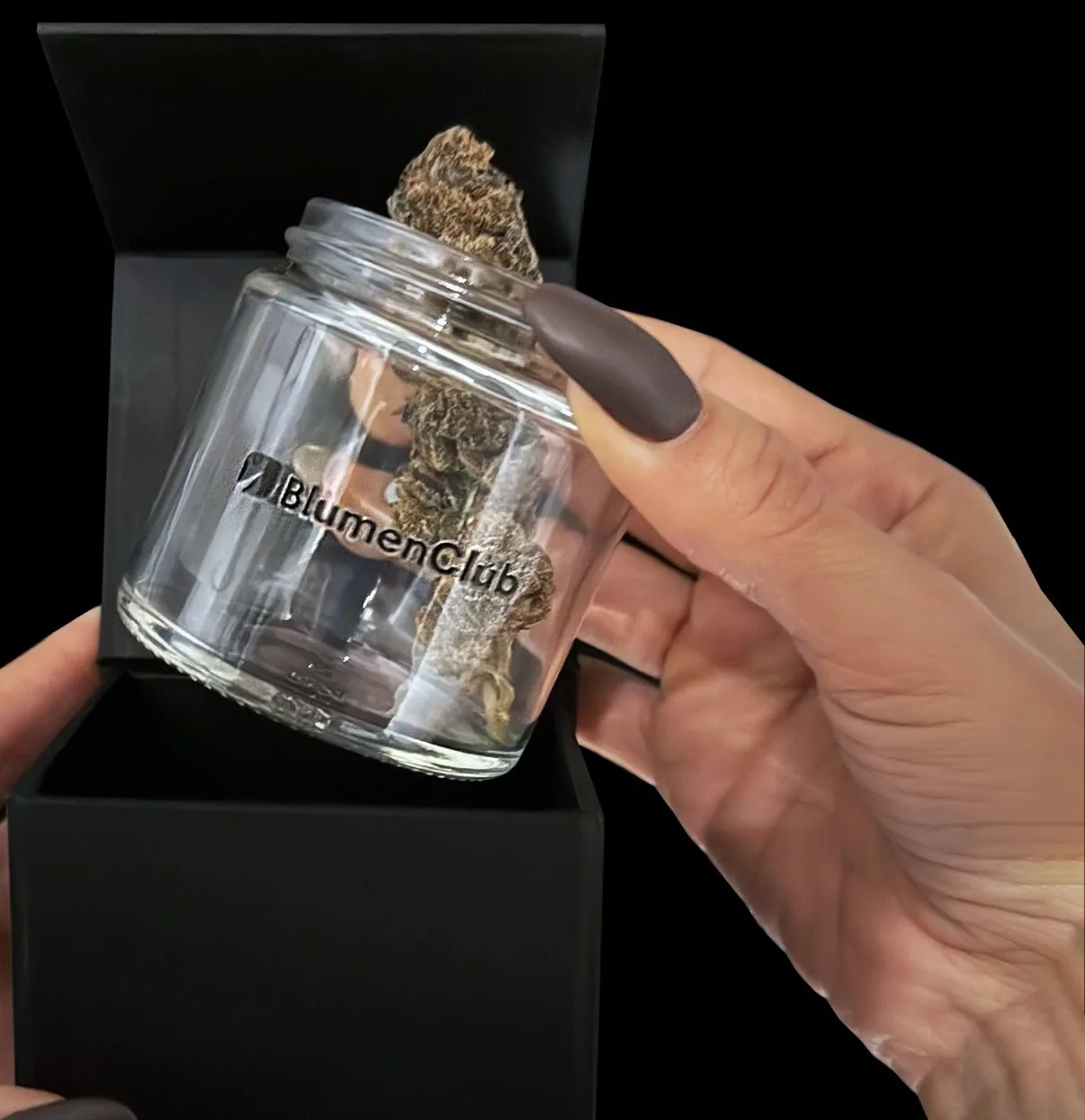 Glass jar with CBD flower inside its black box, The Jewells edition